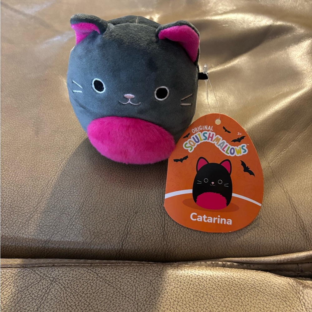 Squishmallows Catarina Gray and Pink Cat Plush